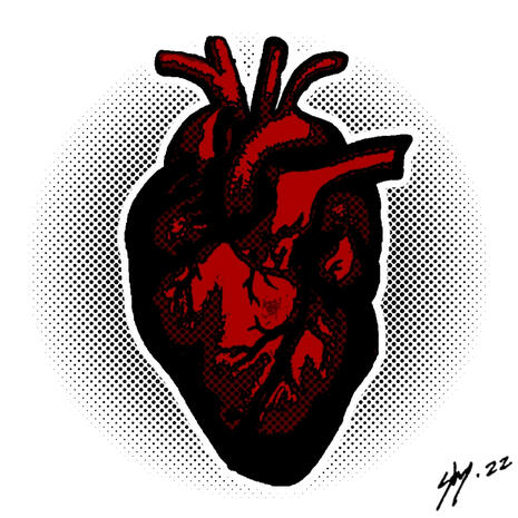 Anatomical Heart, 2022, digital