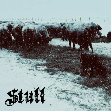 Stull Band Album Art Concept 3